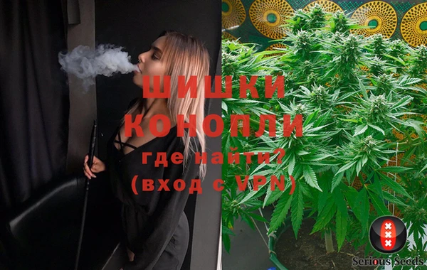 спайс Козловка