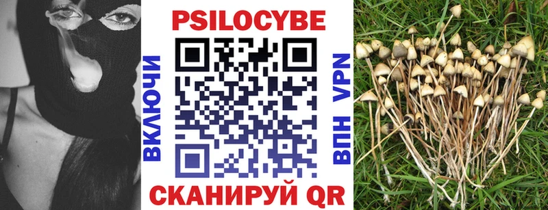 Галлюциногенные грибы Magic Shrooms  где можно купить   Новопавловск 